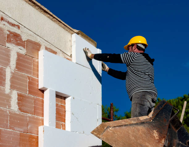 Best Geographic-Specific Insulation Services in White Pine, TN