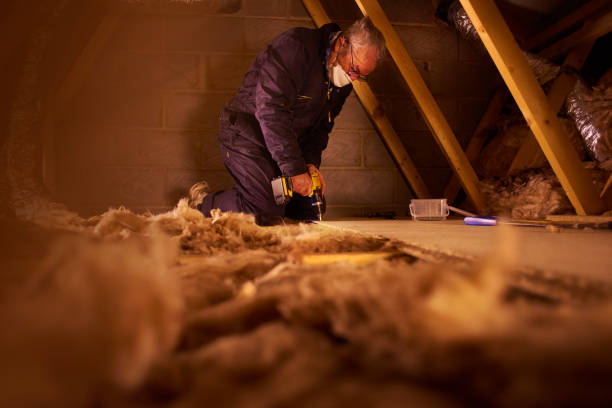 Best Insulation Maintenance and Repair in White Pine, TN